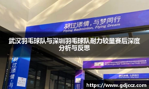 武汉羽毛球队与深圳羽毛球队耐力较量赛后深度分析与反思